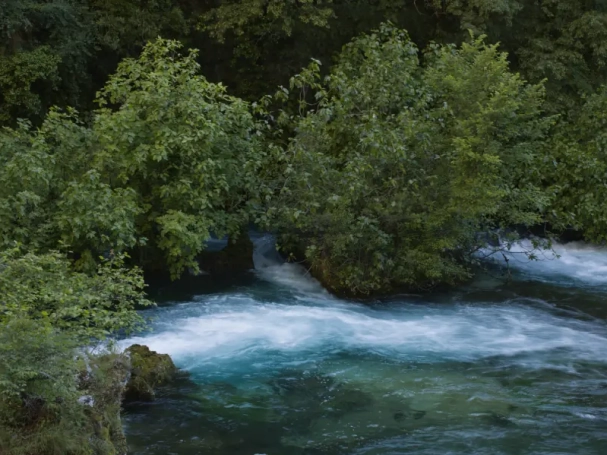 Long exposure fine art photography of the Sorgue river in Fontaine-de-Vaucluse, France, featuring emerald green water and silky white stream motion surrounded by wild trees and forest foliage.